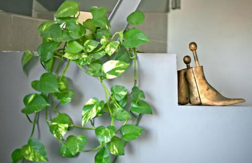 TOLETUM low cost LOFTS diáfanos o 2dormitorios PARKING Municipal Gratis al aire libre a 100m - Foto 11