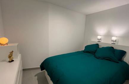 Appartement T2 40 M2 cosy RDC plein centre ville - Foto 29