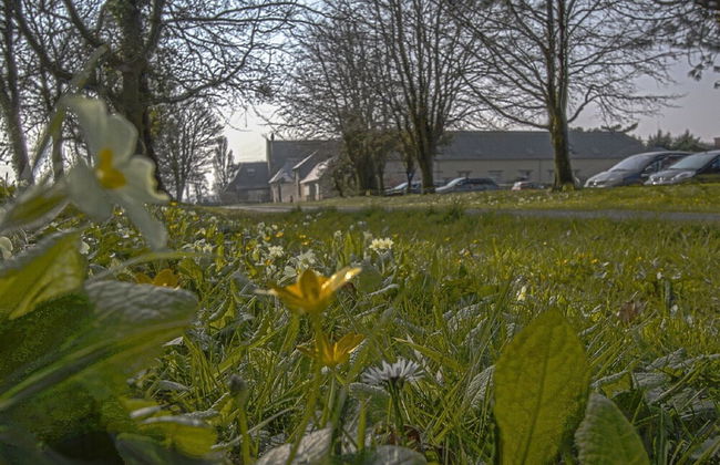 Tasteful Apartment in Comes With Terrace - Foto 19