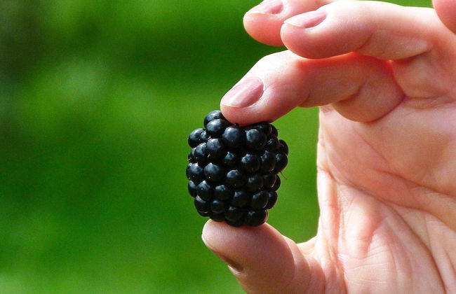 7 Person Holiday Home in Algaras-by Traum - Foto 25