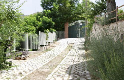 Villa Felici Tropea collina vista mare - Foto 11