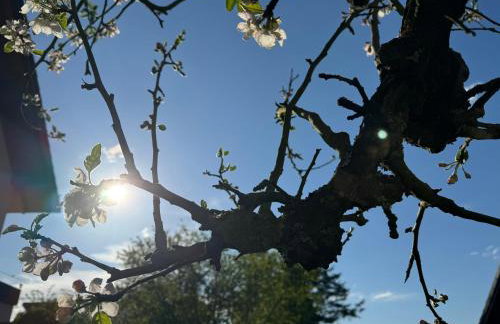 Apartment Montabaur Heiligenroth - Foto 7