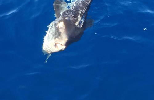 TAVERNETTA 109 TERRAZZA TRA LE 5 TERRE E PORTOFINO - Foto 45