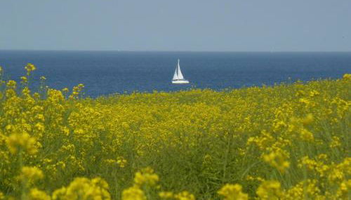 Ferienhaus Ringhuus - Foto 5