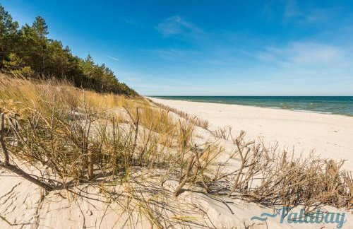 Domki Falabay - Foto 13