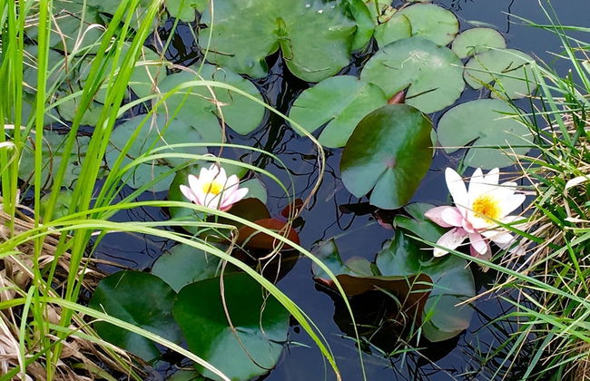 Villa Gudca - Foto 40