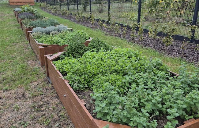 Siedlisko Milachowo luxury wellness - Photo 76