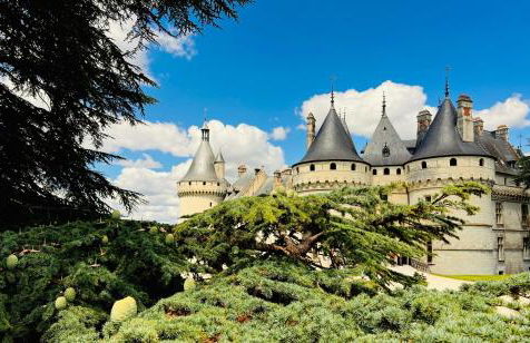 Domaine des Aulnaies - Beauval - Mareuil sur Cher - Foto 63