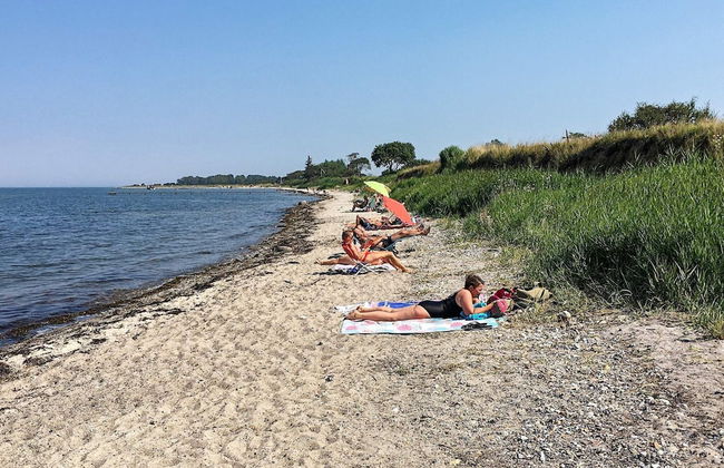 12 Person Holiday Home in Nordborg - Foto 36