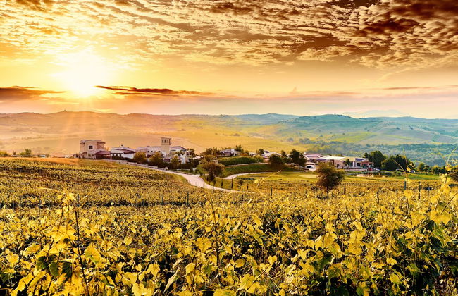 Zornitza Family Estate Relais & Chateaux - Photo 33