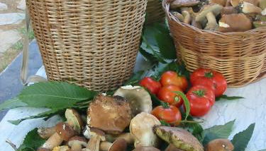 Agriturismo Saudon - Foto 2