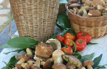 Agriturismo Saudon - Foto 2