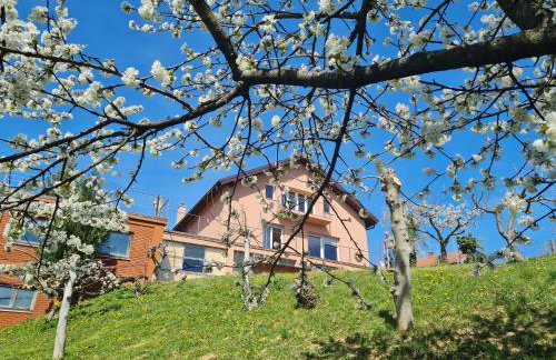 Chill House Keti - Photo 47