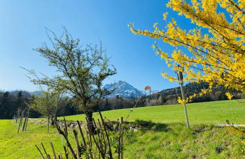 Haus Vogl - Fewo mit priv. Sauna und traumhaften Salzwasser-Pool - Foto 25