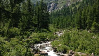 Chalet del frassino - Foto 5