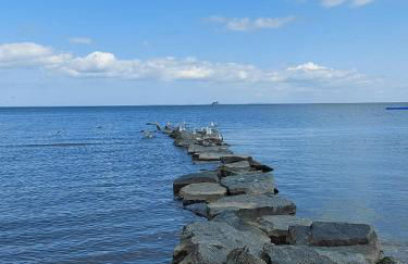 Ferienwohnung ab zum Haff - Foto 19
