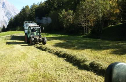 Agriturismo Raethia - Foto 46