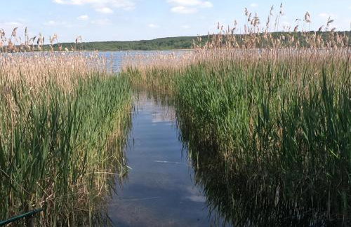 Ferienwohnung Am See mit kleinem Boot und 3er Kajak und 2 SUP - Foto 64