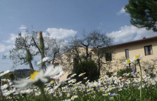 Agriturismo IL VIAIO - Foto 87