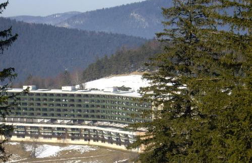 Grand Studio VILLARD DE LANS Les Glovettes - Foto 29