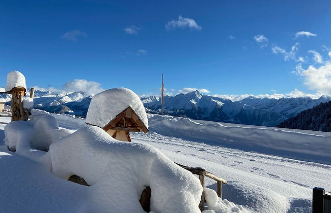 Chalet in Zillertal Near Ski Slopes - Foto 31