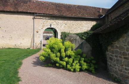 Gite Le Morvan - Foto 13