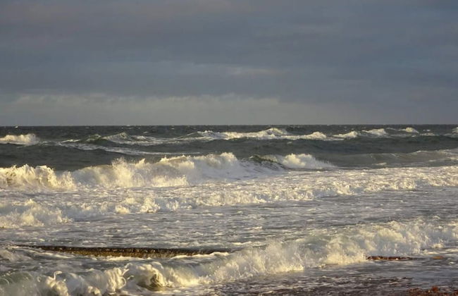 4 Person Holiday Home in Graested - Foto 25