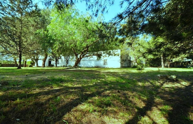 Masseria Frassaniti - Foto 34