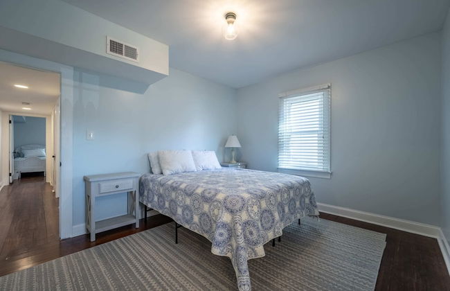 OCHG Sand Dollars - Photo 2