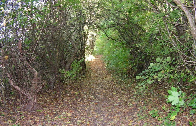 6 Person Holiday Home in Taastrup - Photo 15