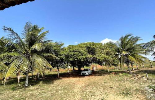 Casa de frente para o mar, pé na areia! - Foto 10