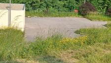 Les Cèdres - Foto 2