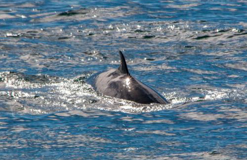 Lephin Cottage - Foto 8