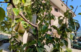 La Mansarda dei Tre Cipressi - Foto 31