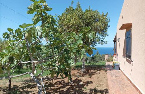 La Terrazza su Pispisa - Foto 12