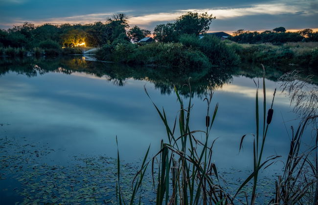 American School Bus - Blossom Farm - Foto 17