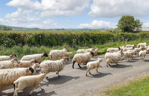 Cheviot View - Foto 20