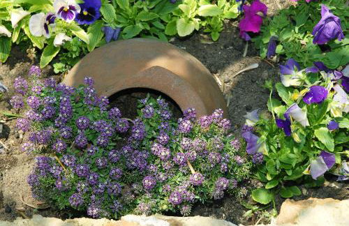 Vergonis Studios - Photo 42