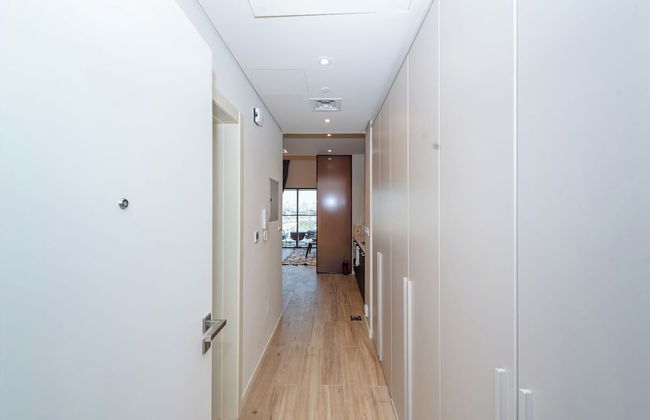 Park View Spacious Studio With Balcony - Photo 17