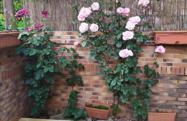 Una casa con vistas en Galapagar - Foto 15