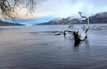 Erraid Lodge - Foto 16