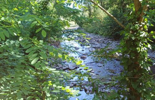 La Casetta di Noah - Foto 49