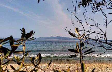 House Kokkalas on the beach - Photo 17