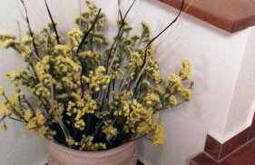 Olea Escape Villa in an Olive Estate - Foto 46