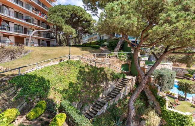 Cavall Bernat - Foto 17