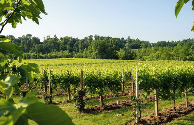 Relais La Dolce Vite - Foto 75