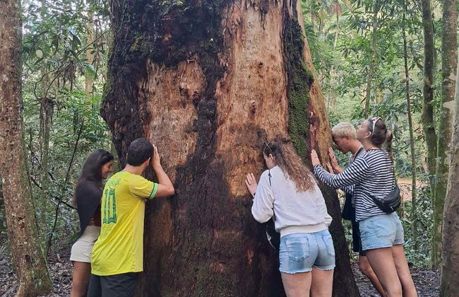 Free tour en 4x4 por el Parque Nacional de Tijuca - Foto 5