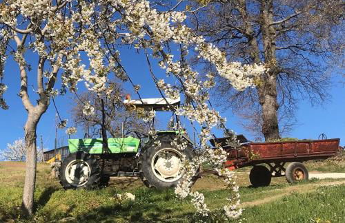Agriturismo Colpo di Fortuna - Foto 53