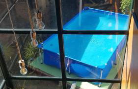 casa cacheiras - Foto 10