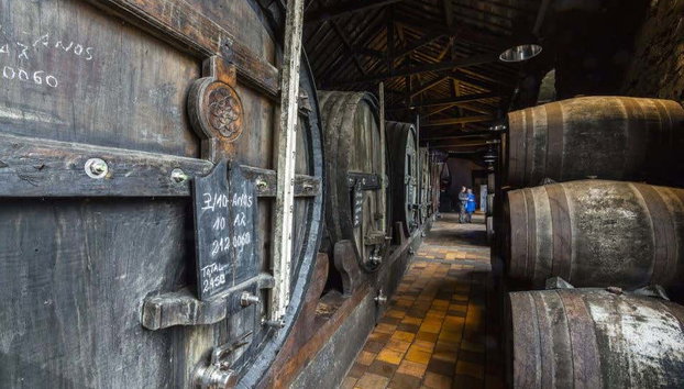 Visita a la bodega Burmester - Foto 2, Explorando la sala de barriles